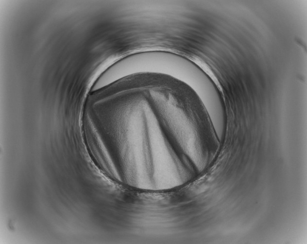 X0000095881197200802081047