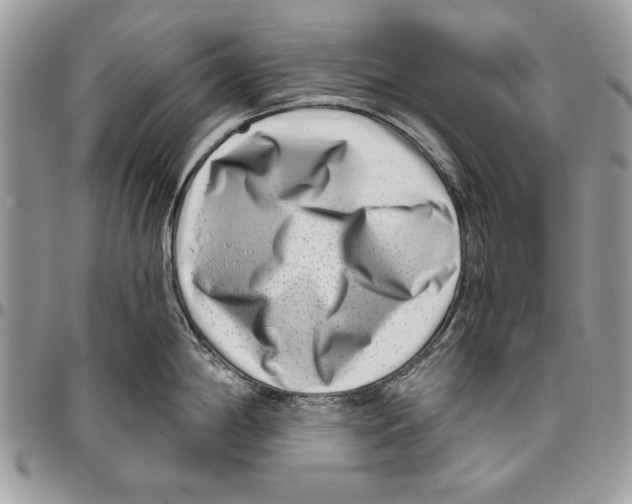 X0000095881198200802081047