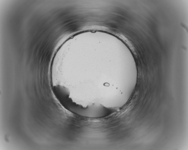 X0000095881199200802081047