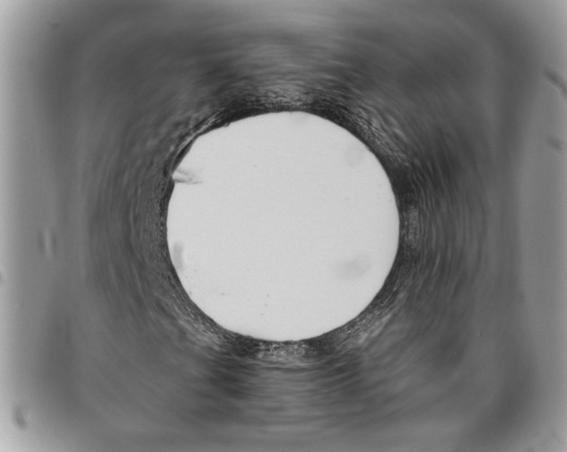 X0000095881201200802081046