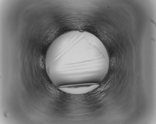 X0000095881202200802081046