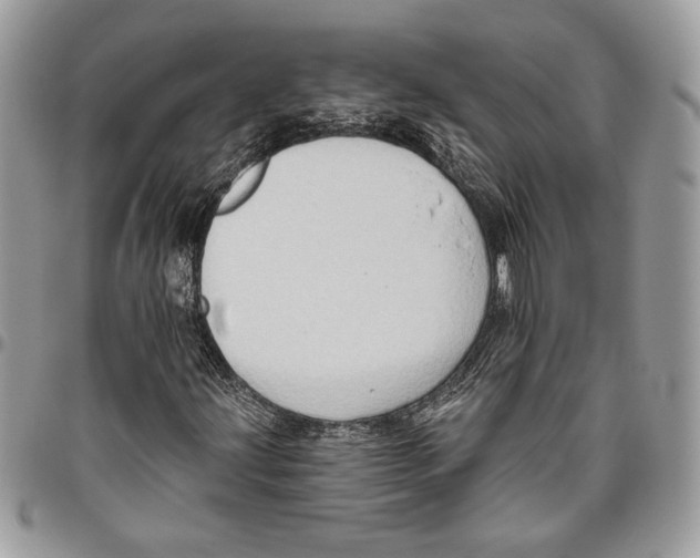 X0000095881203200802081046