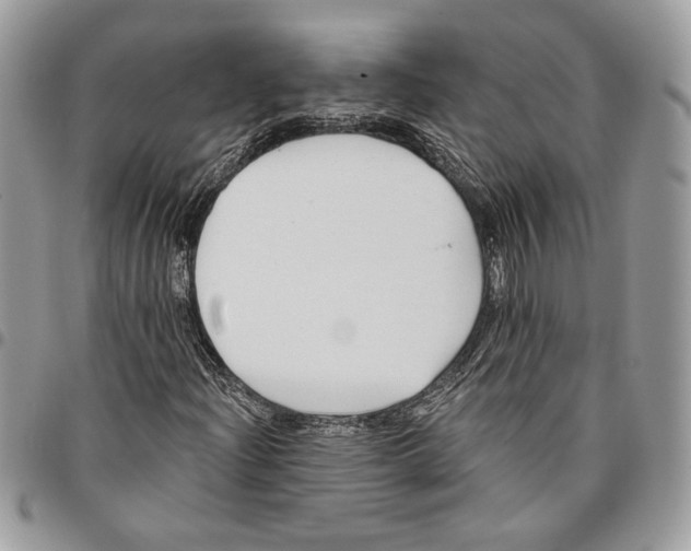 X0000095881204200802081046