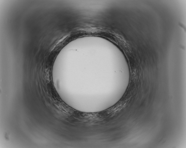 X0000095881205200802081046