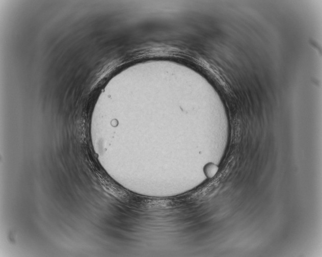 X0000095881211200802081047