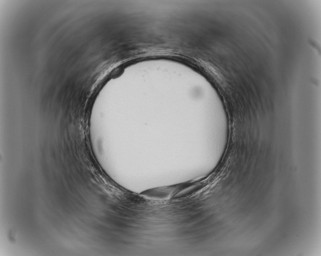 X0000095881212200802081047