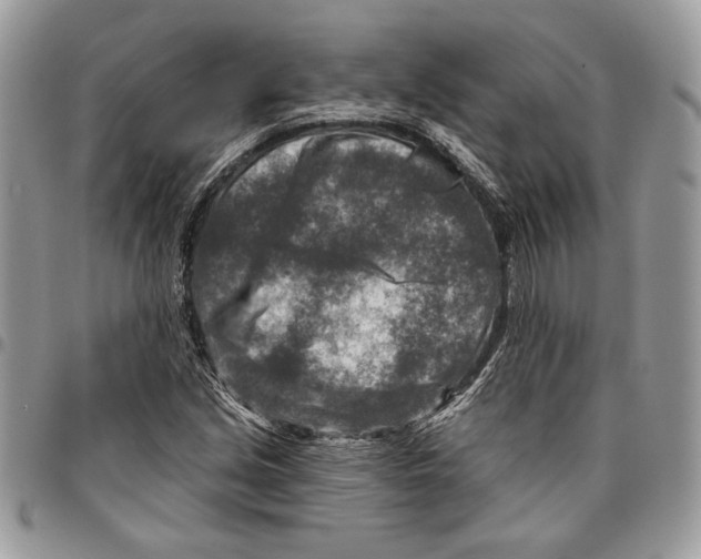 X0000095881213200802081047