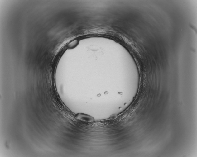 X0000095881214200802081047