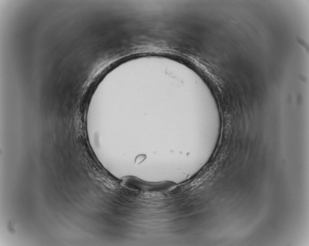 X0000095881215200802081047