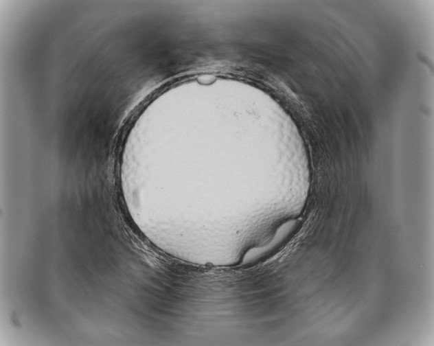 X0000095881216200802081047