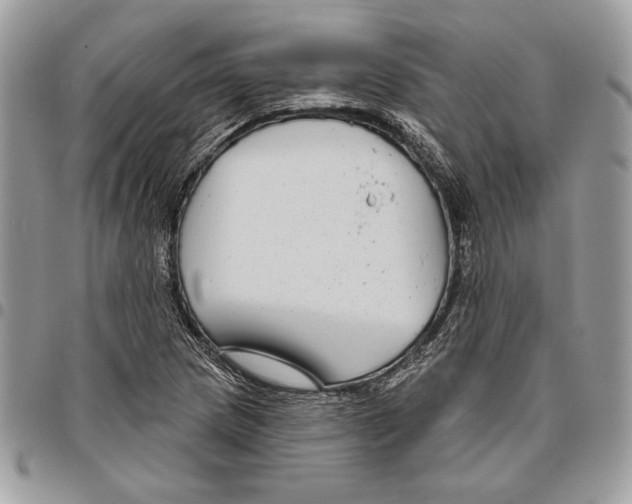 X0000095881217200802081047