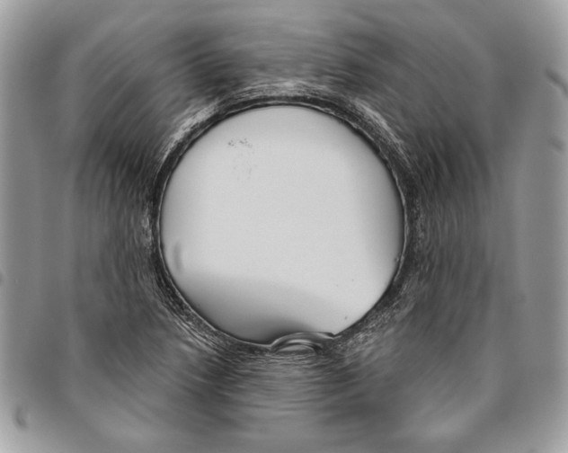 X0000095881218200802081047