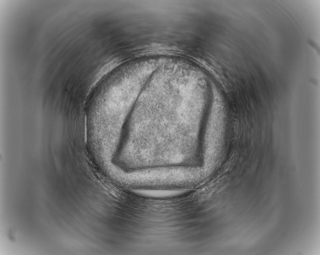 X0000095881219200802081047