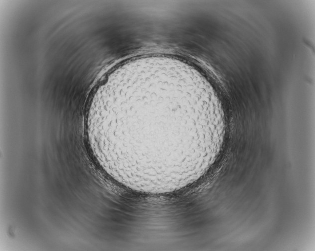 X0000095881220200802081047