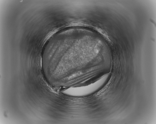 X0000095881221200802081047