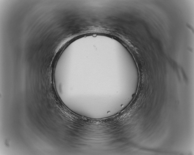 X0000095881222200802081047