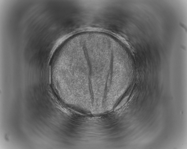 X0000095881223200802081047