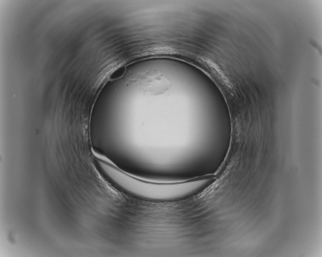 X0000095881225200802081047