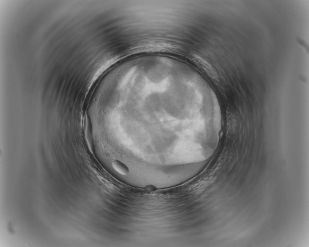 X0000095881226200802081047