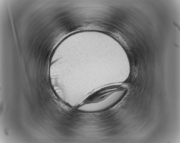 X0000095881228200802081047