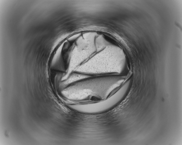 X0000095881230200802081047