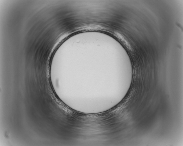 X0000095881232200802081047