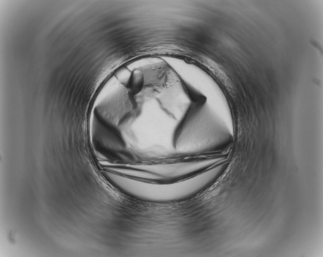 X0000095881234200802081047