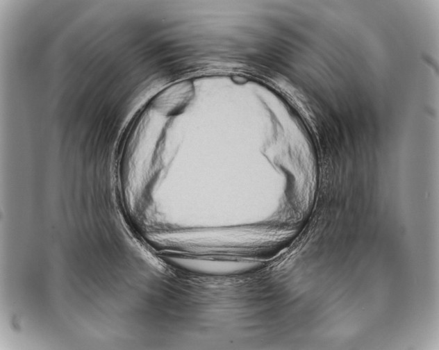 X0000095881235200802081047