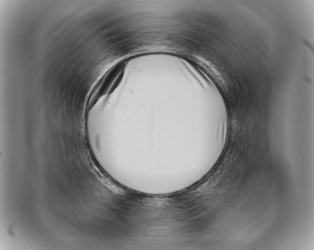 X0000095881236200802081047