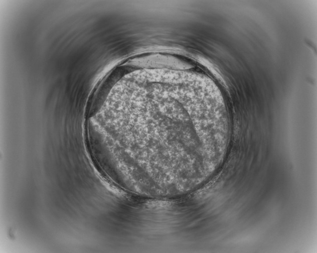 X0000095881237200802081047