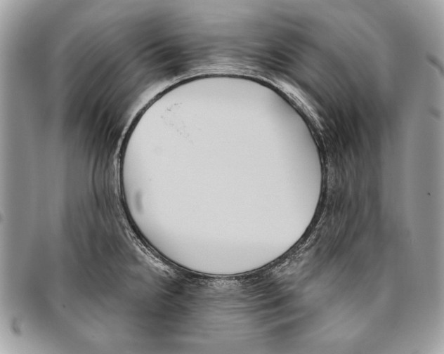 X0000095881238200802081047