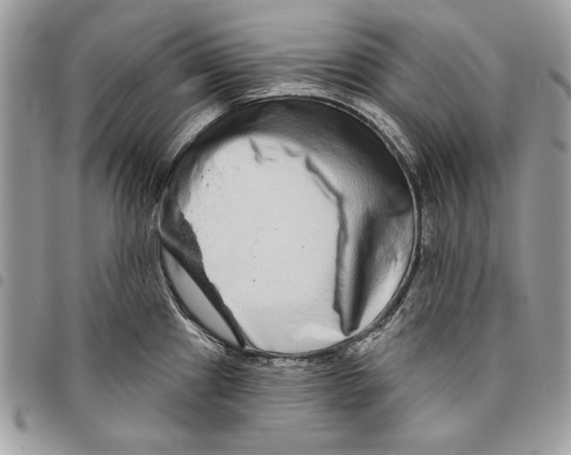 X0000095881241200802081047