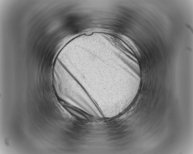 X0000095881244200802081047