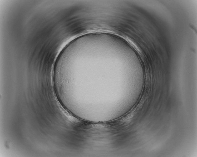 X0000095881246200802081047