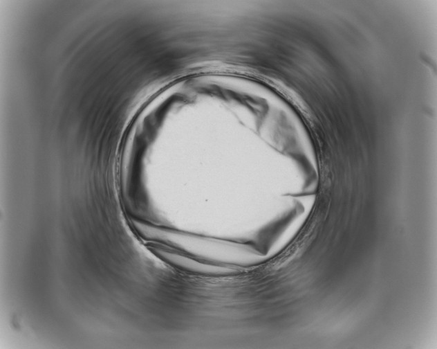 X0000095881247200802081047