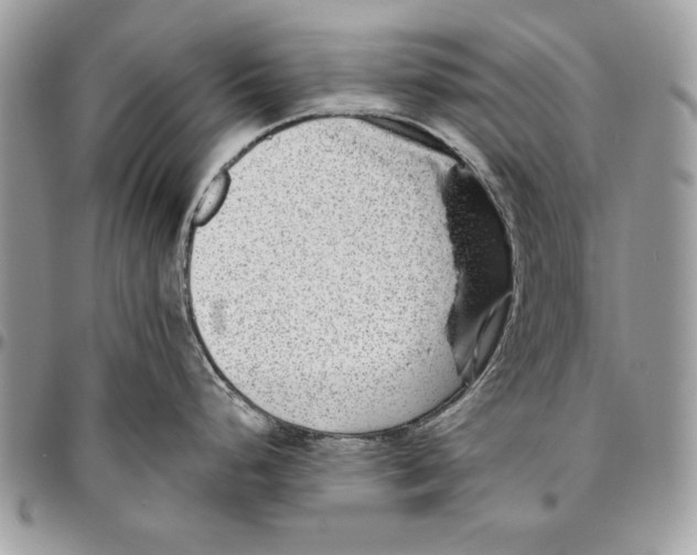 X0000095881248200802081047