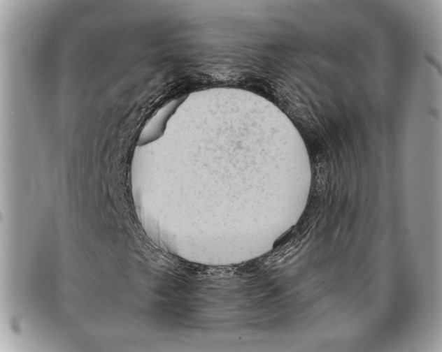 X0000095881249200802081046