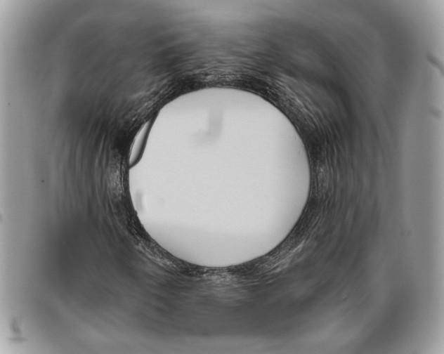 X0000095881250200802081046