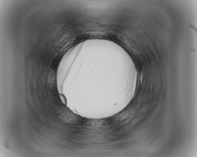 X0000095881251200802081046