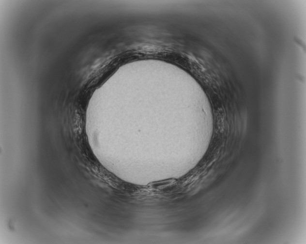 X0000095881253200802081046