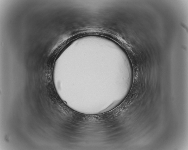 X0000095881255200802081046