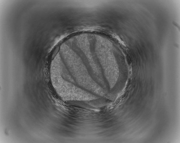 X0000095881256200802081046