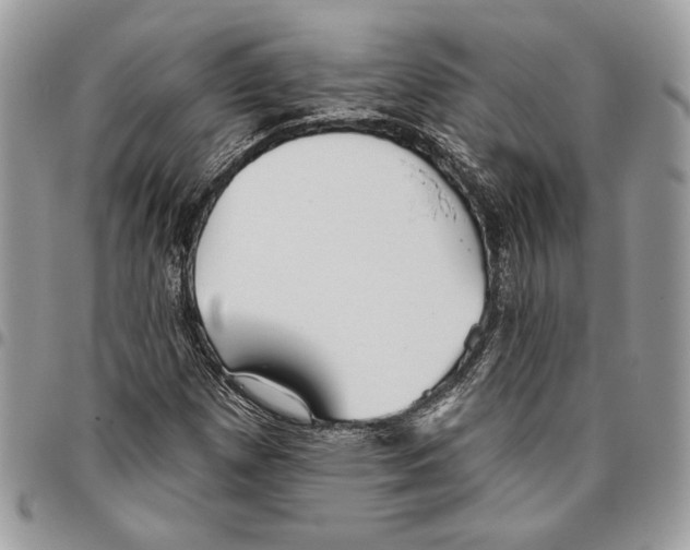 X0000095881257200802081046