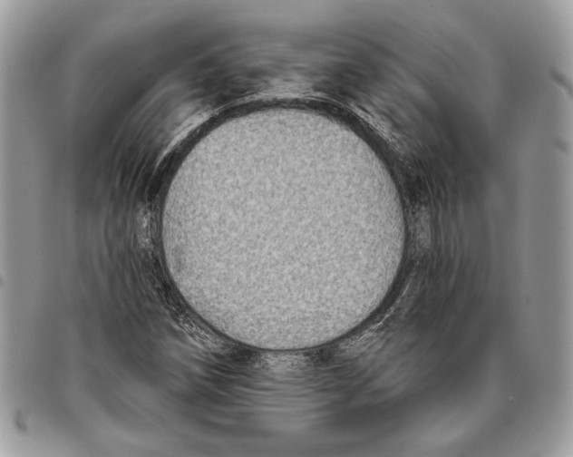 X0000095881258200802081046