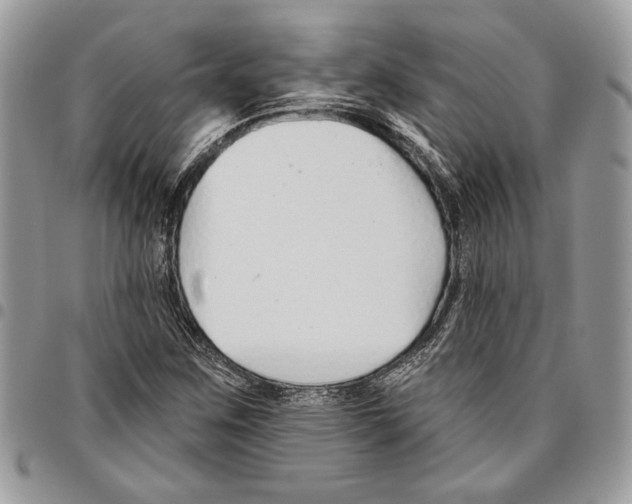 X0000095881259200802081046