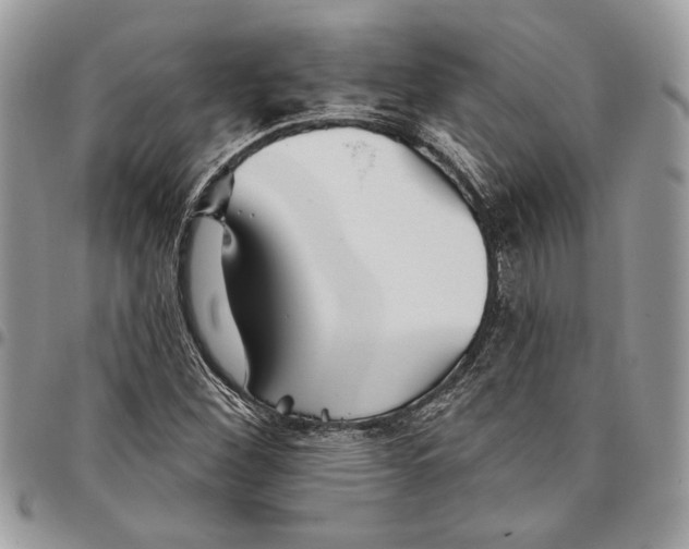 X0000095881260200802081046