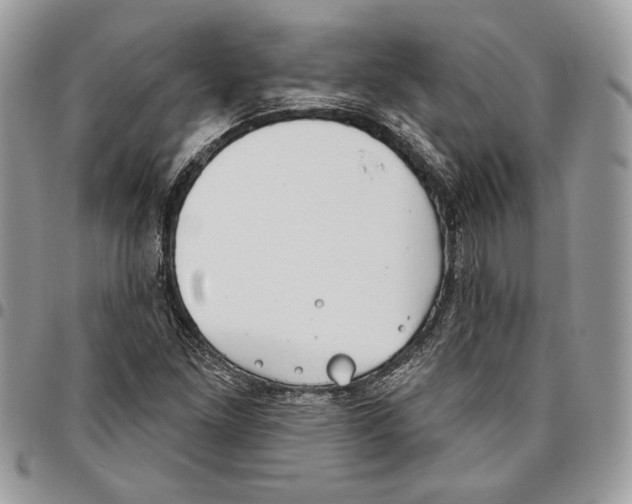 X0000095881261200802081046