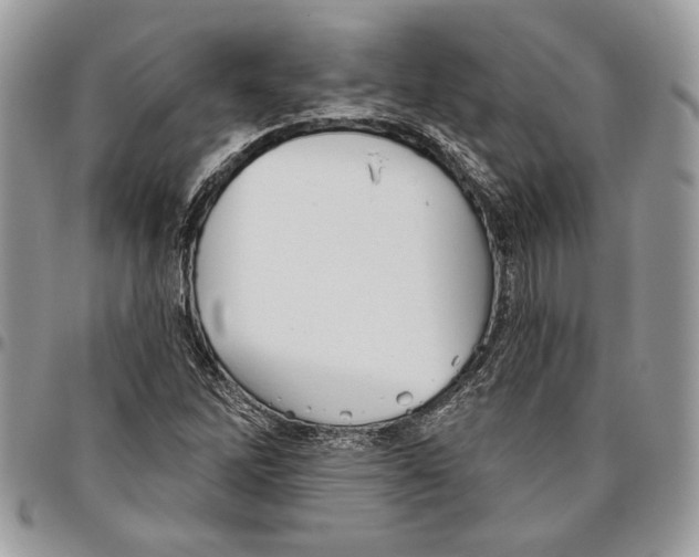 X0000095881262200802081046