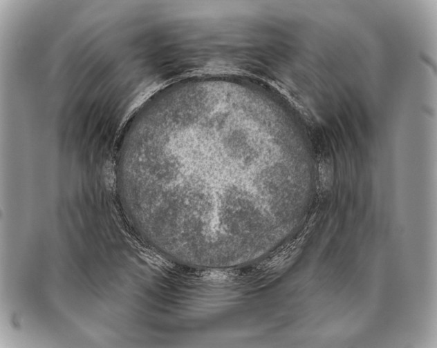 X0000095881266200802081046