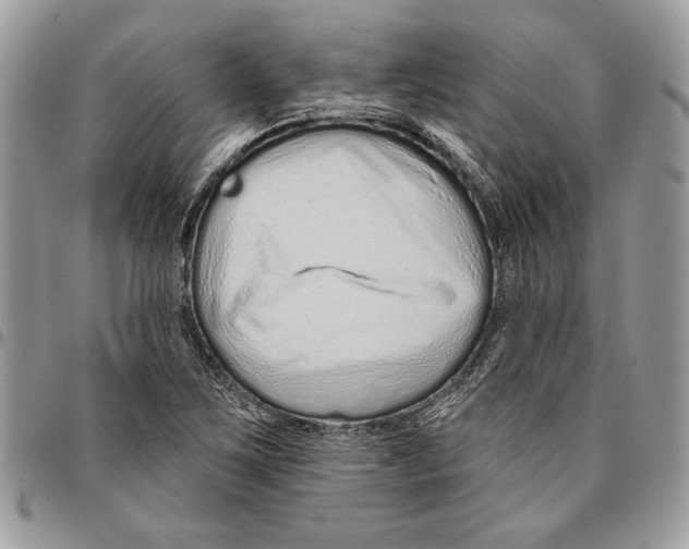 X0000095881267200802081046